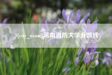 舞钢河南消防大学分数线