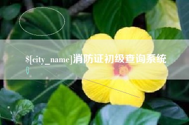舞钢消防证初级查询系统