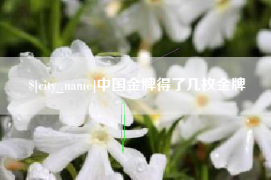 舞钢中国金牌得了几枚金牌