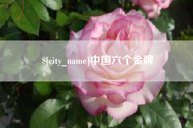舞钢中国六个金牌