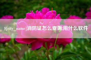 舞钢消防证怎么查询,用什么软件
