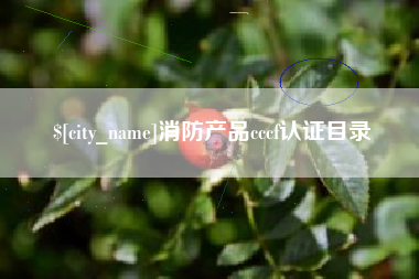 舞钢消防产品cccf认证目录