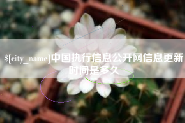 舞钢中国执行信息公开网信息更新时间是多久