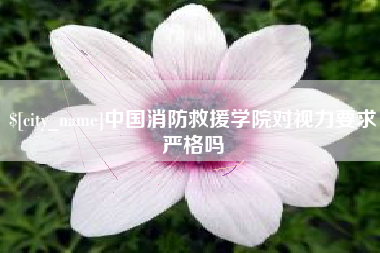 舞钢中国消防救援学院对视力要求严格吗