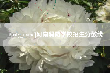舞钢河南消防学校招生分数线
