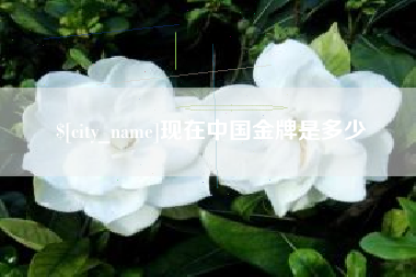 舞钢现在中国金牌是多少