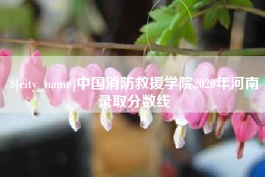 舞钢中国消防救援学院2020年河南录取分数线