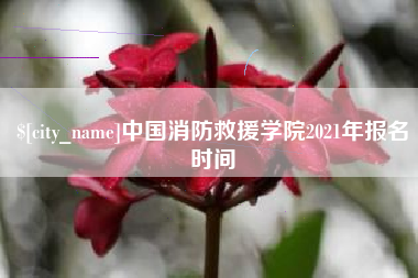 舞钢中国消防救援学院2021年报名时间