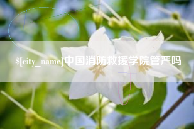 舞钢中国消防救援学院管严吗