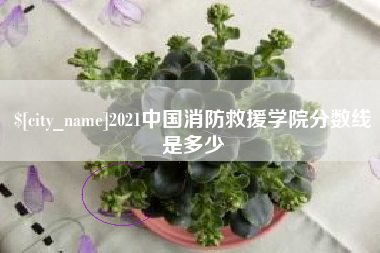 舞钢2021中国消防救援学院分数线是多少