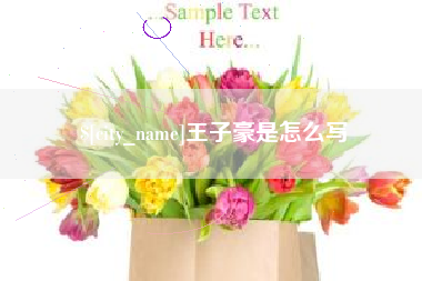 舞钢王子豪是怎么写