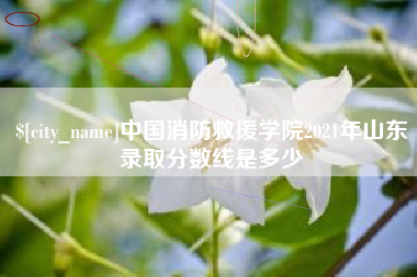 舞钢中国消防救援学院2021年山东录取分数线是多少