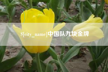 舞钢中国队九块金牌