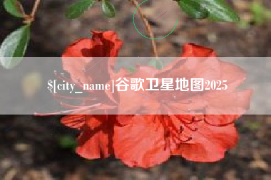舞钢谷歌卫星地图2025