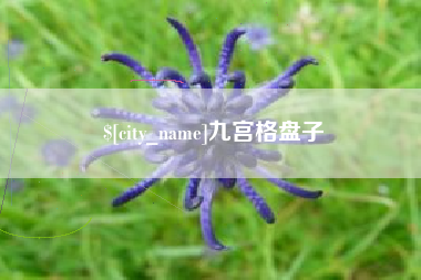 舞钢九宫格盘子