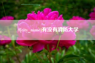 舞钢有没有消防大学