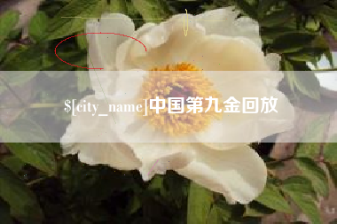 舞钢中国第九金回放