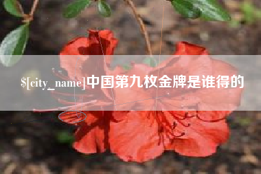 舞钢中国第九枚金牌是谁得的