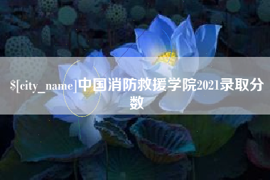 舞钢中国消防救援学院2021录取分数