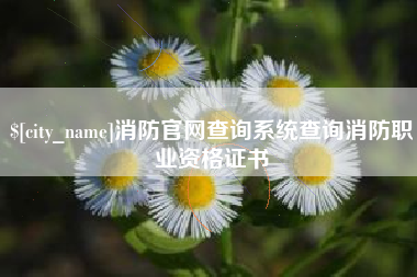 舞钢消防官网查询系统查询消防职业资格证书