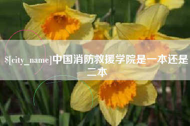 舞钢中国消防救援学院是一本还是二本