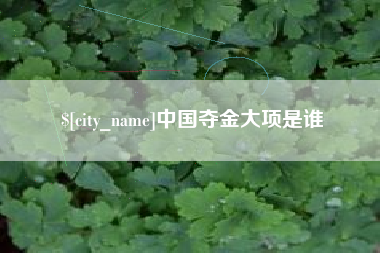 舞钢中国夺金大项是谁