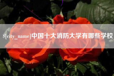 舞钢中国十大消防大学有哪些学校