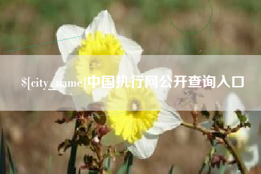 舞钢中国执行网公开查询入口
