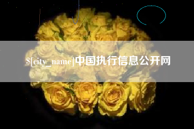 舞钢中国执行信息公开网