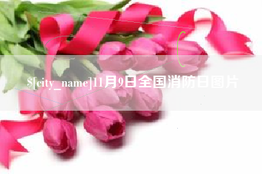 舞钢11月9日全国消防日图片