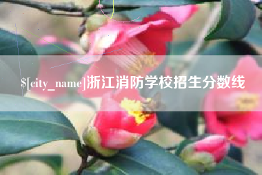 舞钢浙江消防学校招生分数线