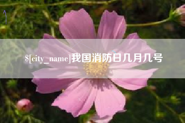 舞钢我国消防日几月几号