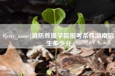 舞钢消防救援学院报考条件湖南招生多少分