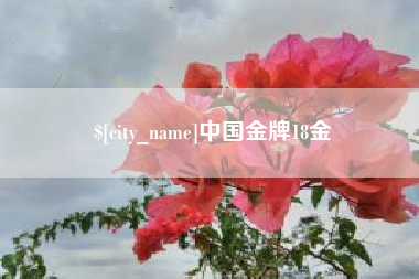 舞钢中国金牌18金