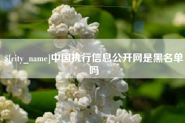舞钢中国执行信息公开网是黑名单吗