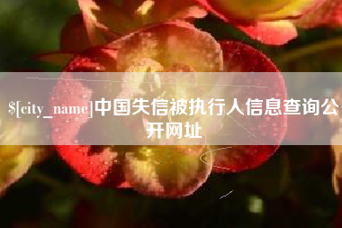 舞钢中国失信被执行人信息查询公开网址