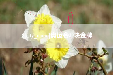 舞钢奥运会39块金牌