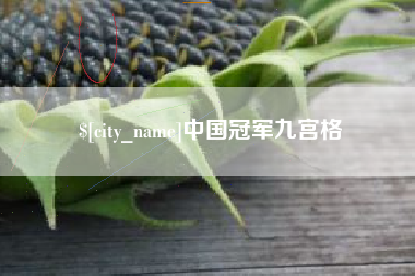 舞钢中国冠军九宫格