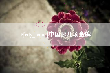 舞钢中国哪几项金牌