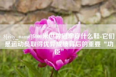 舞钢5000米世界冠军穿什么鞋-它们是运动员取得优异成绩背后的重要“功臣”