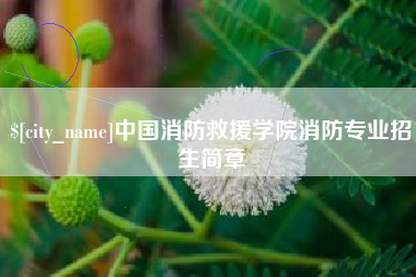 舞钢中国消防救援学院消防专业招生简章