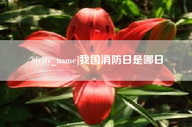 舞钢我国消防日是哪日