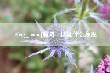 舞钢消防ccc认证什么意思