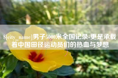 舞钢男子5000米全国记录-更是承载着中国田径运动员们的热血与梦想