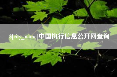 舞钢中国执行信息公开网查询