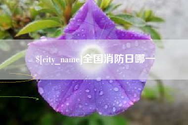 舞钢全国消防日哪一