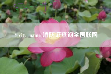 舞钢消防证查询全国联网