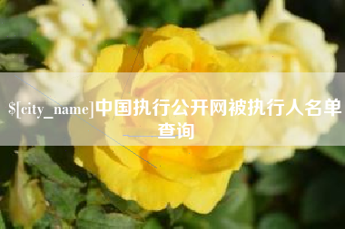 舞钢中国执行公开网被执行人名单查询
