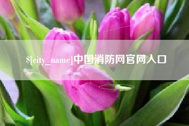 舞钢中国消防网官网入口