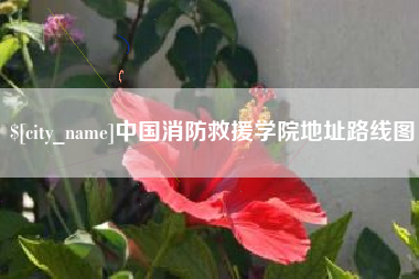 舞钢中国消防救援学院地址路线图